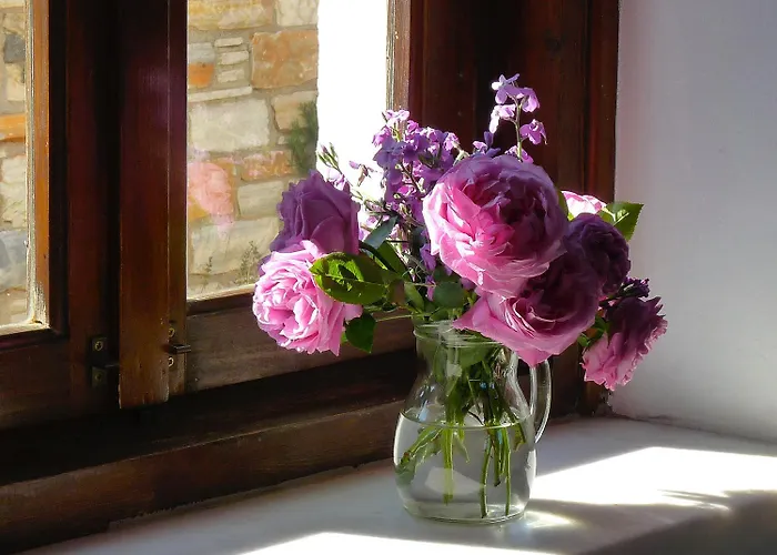 Traditional Stone-built Azalas Lejlighed