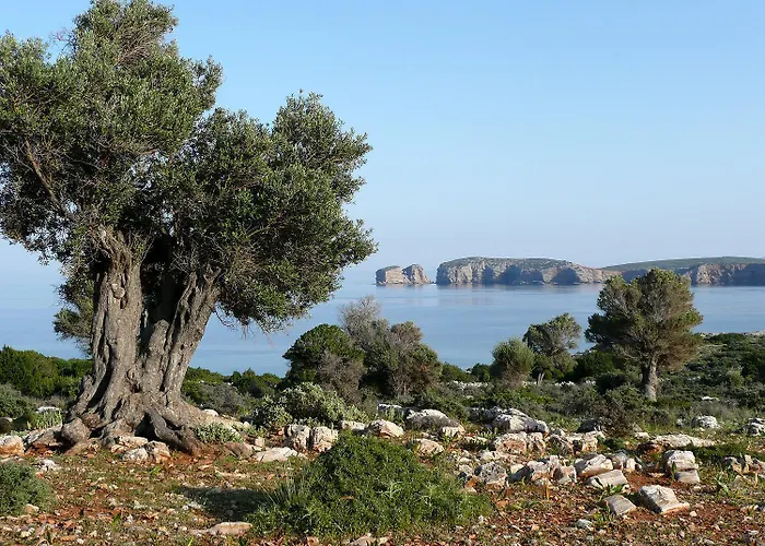 Traditional Stone-built Azalas Moutsoúna