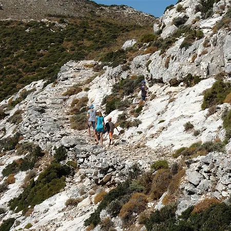Lejlighed Traditional Stone-built Azalas
