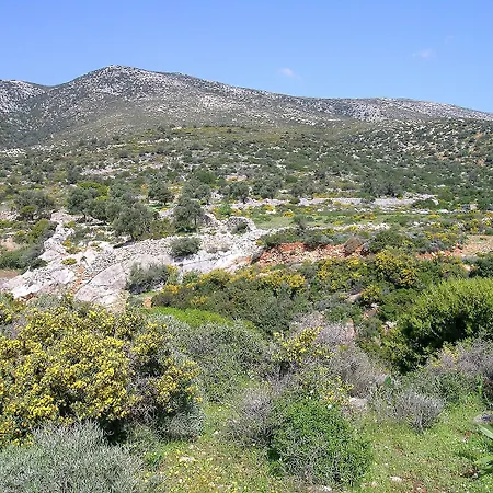 Traditional Stone-built Azalas Daire Moutsoúna