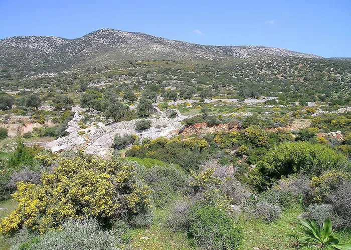 Traditional Stone-built Azalas Апартаменты Moutsouna
